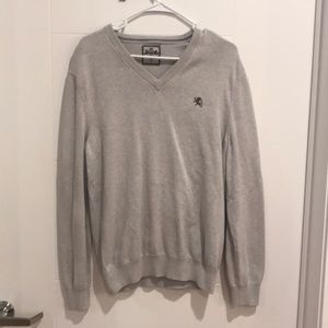 Express Light Gray 100% Cotton V-neck Sweater